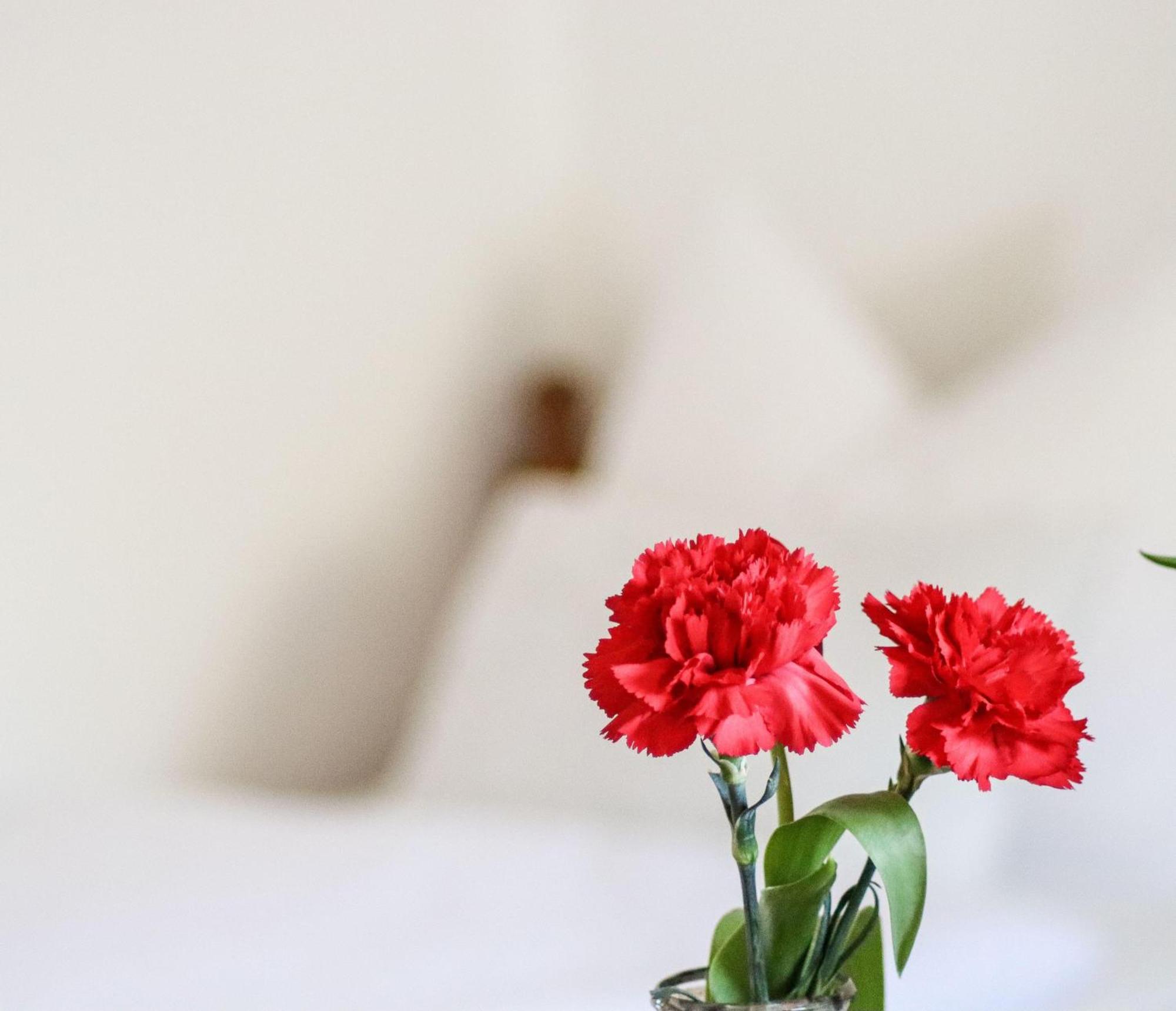 Apartment Vordermitterast كيرشبرغ ان تيرول المظهر الخارجي الصورة