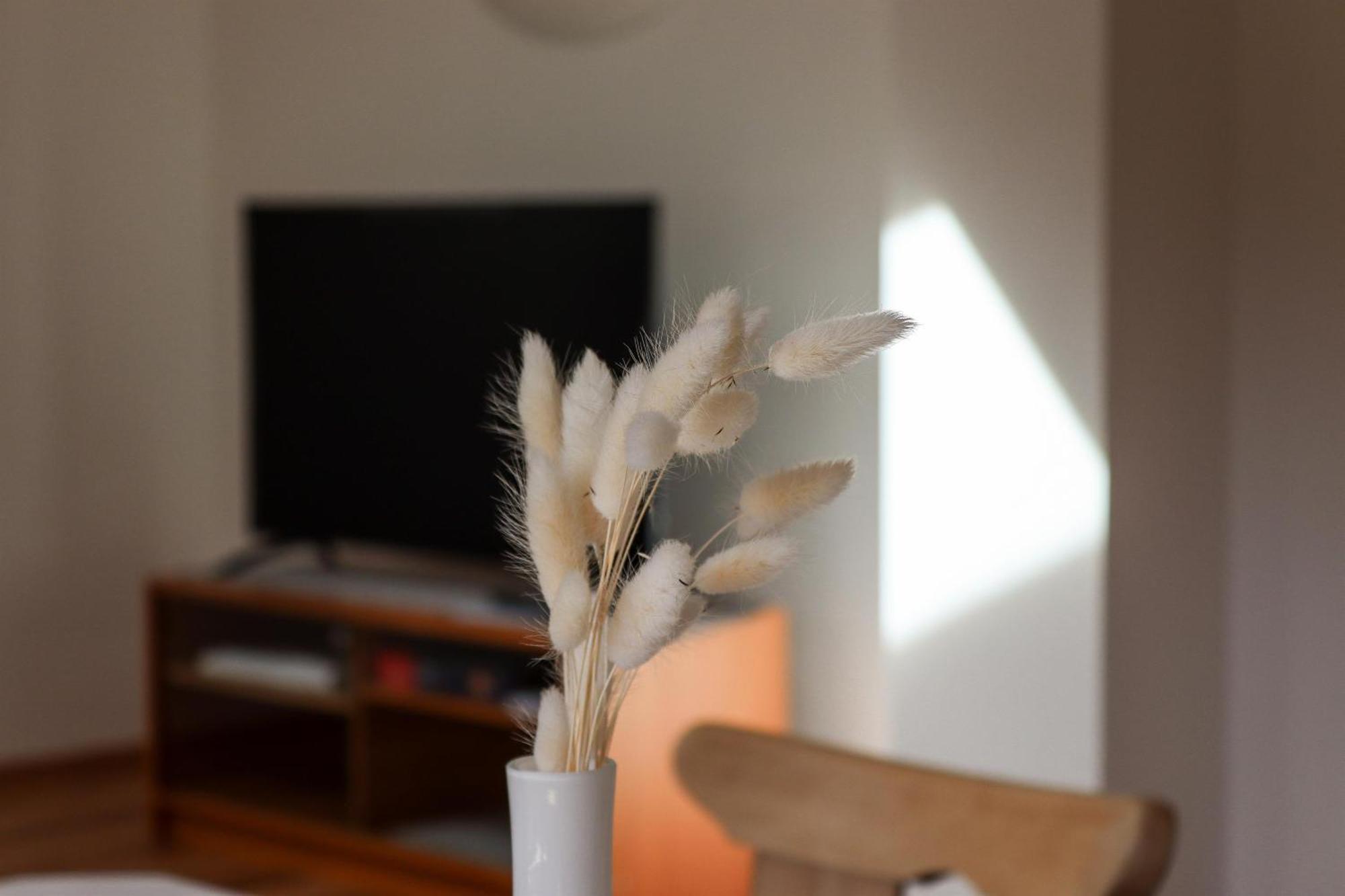 Apartment Vordermitterast كيرشبرغ ان تيرول المظهر الخارجي الصورة