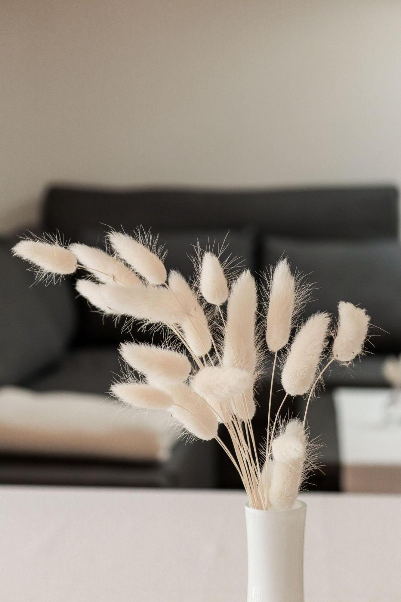 Apartment Vordermitterast كيرشبرغ ان تيرول المظهر الخارجي الصورة
